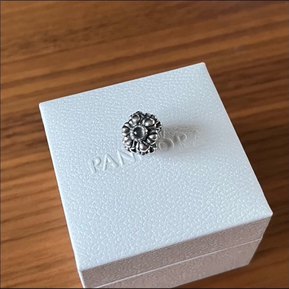 Pandora June Grey Moonstone Charm - Picture 2 of 2